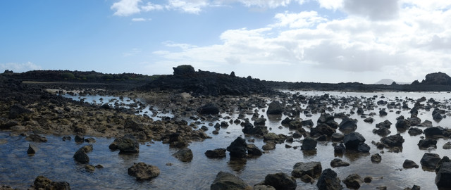 DSCF8671.jpg
