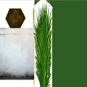 planta