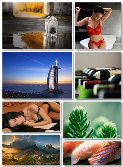 New Best Wallpapers Pack # 345