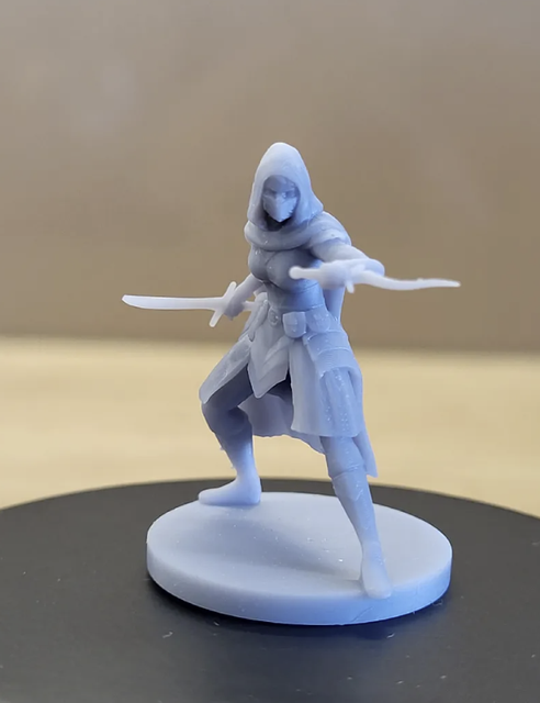 Assassin female.png