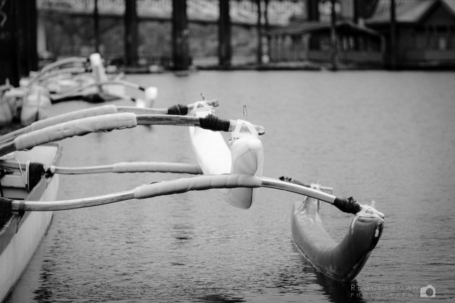 XT146113-copy