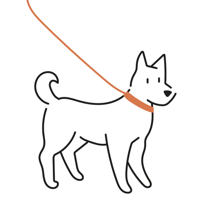 Passeggiate Prolungate