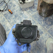 IMG 0439