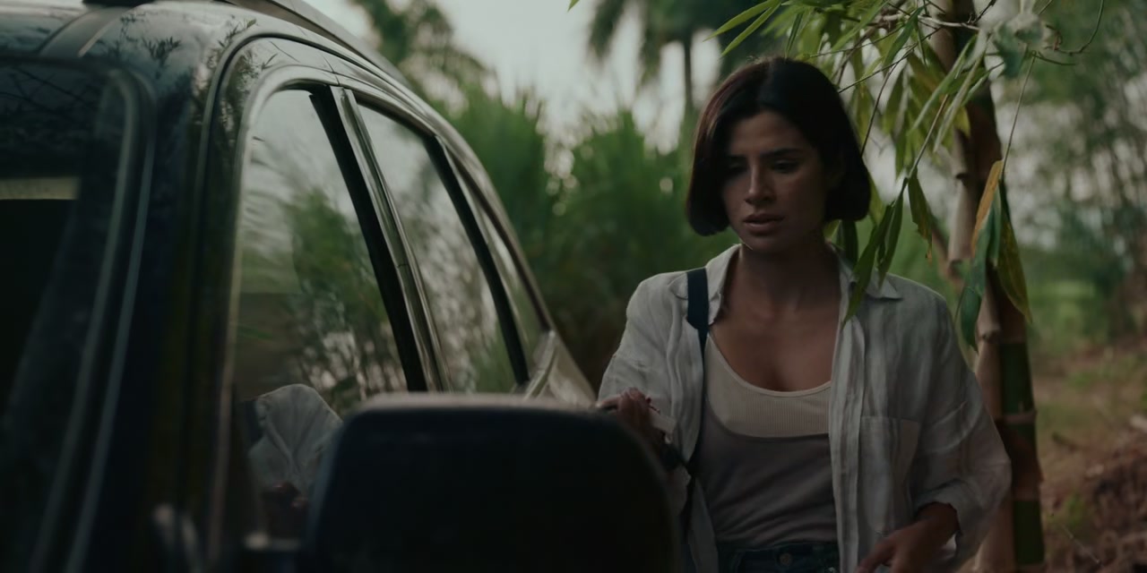 The Whistler Screenshot