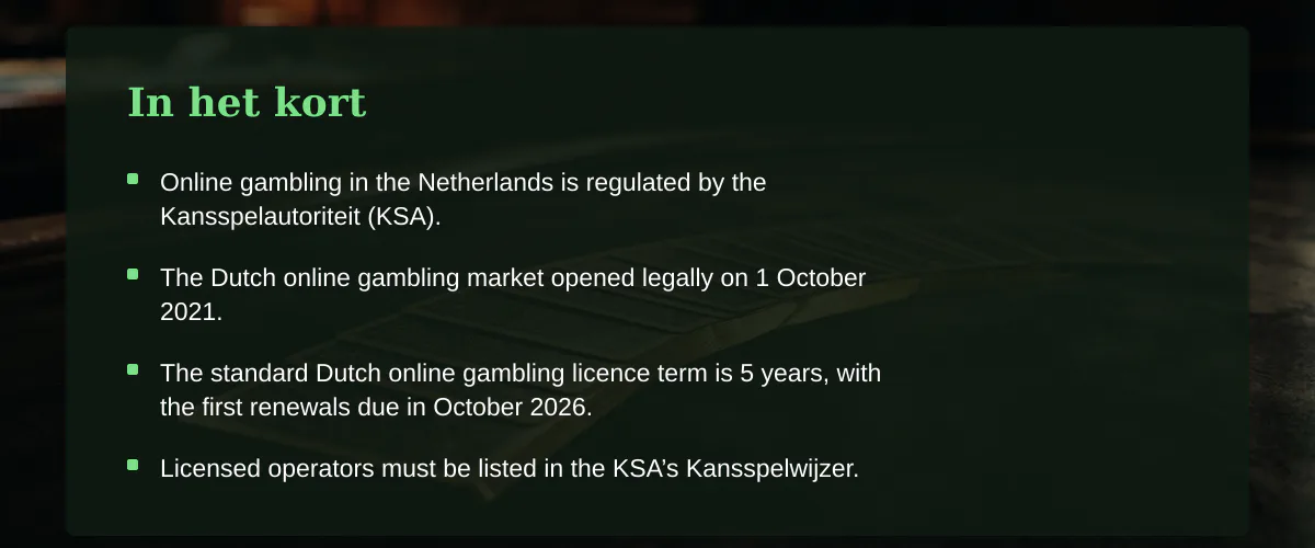 Online casino bingo spelen in Nederland: een praktische handleiding — In het kort