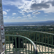 IMG-2235