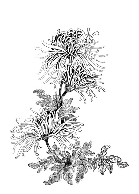 shutterstock-221154454.jpg
