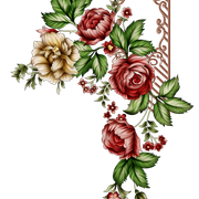 1ae3ed72de80d6e53a43d1e1350c522e