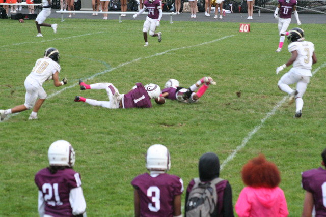 IMG-8382.jpg