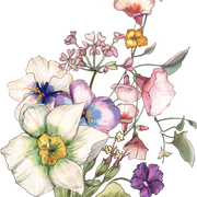05 (1).png
