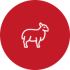 Lamsvlees kopen bij de boer uit jou buurt, gemeente of provincie - Boeren houden van lammeren - www.Vleekopenbijdeboer.nl
