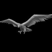 Blood Hawk