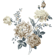 shutterstock 1407726185