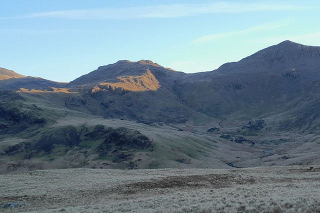 225.jpg