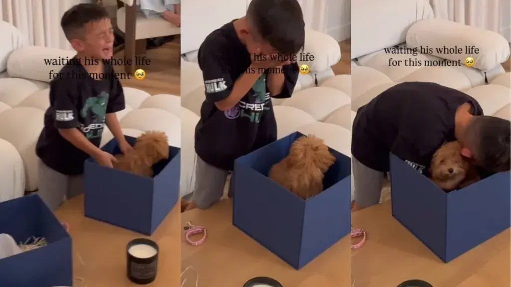 Tears of Joy as Boy Gets Dream Puppy on Birthday
