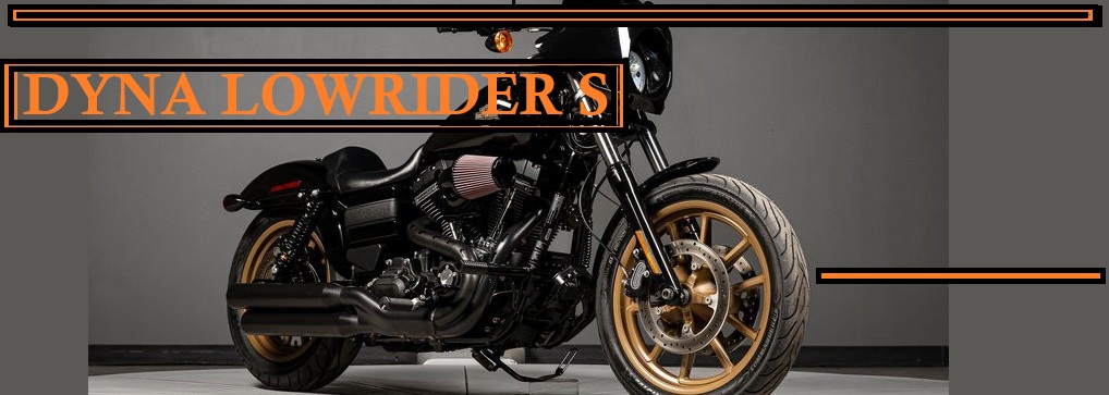 ハーレー　FXDLｓ（ダイナローライダーS）ホイール Harley Davidson Dyna FXDLS Lowrider S Dual Disk Mag Wheels Rims | eBay