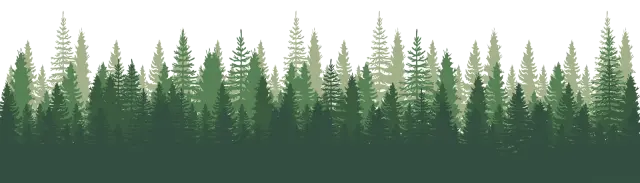Pine Tree Banner Footer Twirl in the Woods.webp