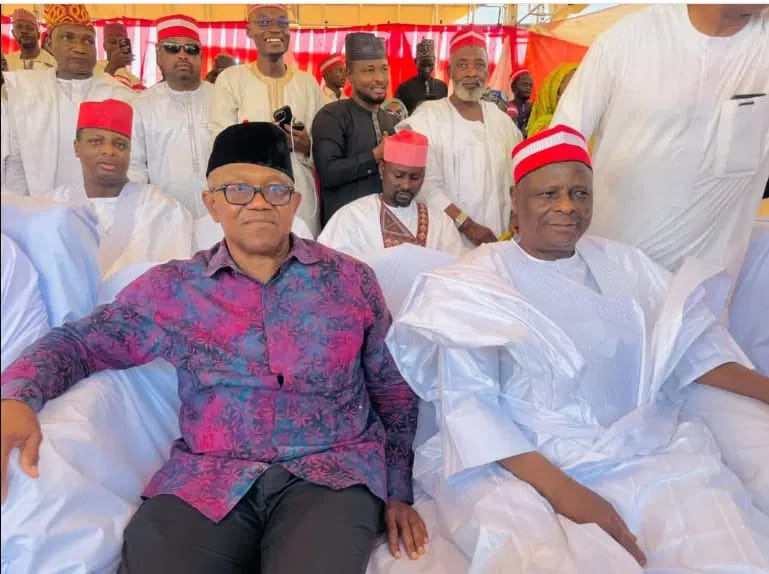 NDC Spares Peter Obi, Kwankwaso from New Anti-Defection Pledge