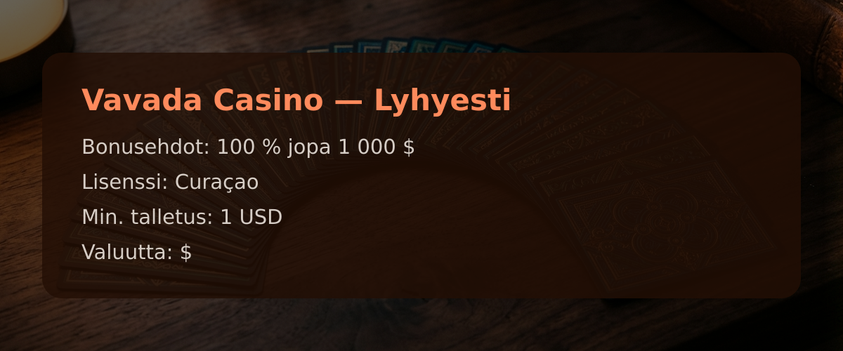 Vavada Casino  Lyhyesti