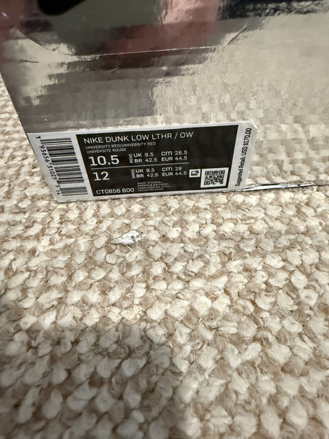 IMG 0556.jpg