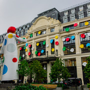 DSC01618