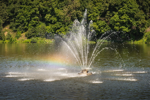A7300221.jpg