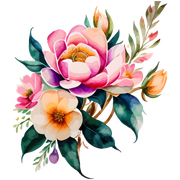 nohat-bg-removed-e52c4c73