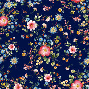 shutterstock 2253198633