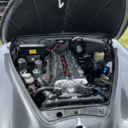 IMG 7555