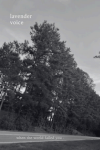 ID: zine cover with black and white photograph looking up at trees from a road. It contains text reading 