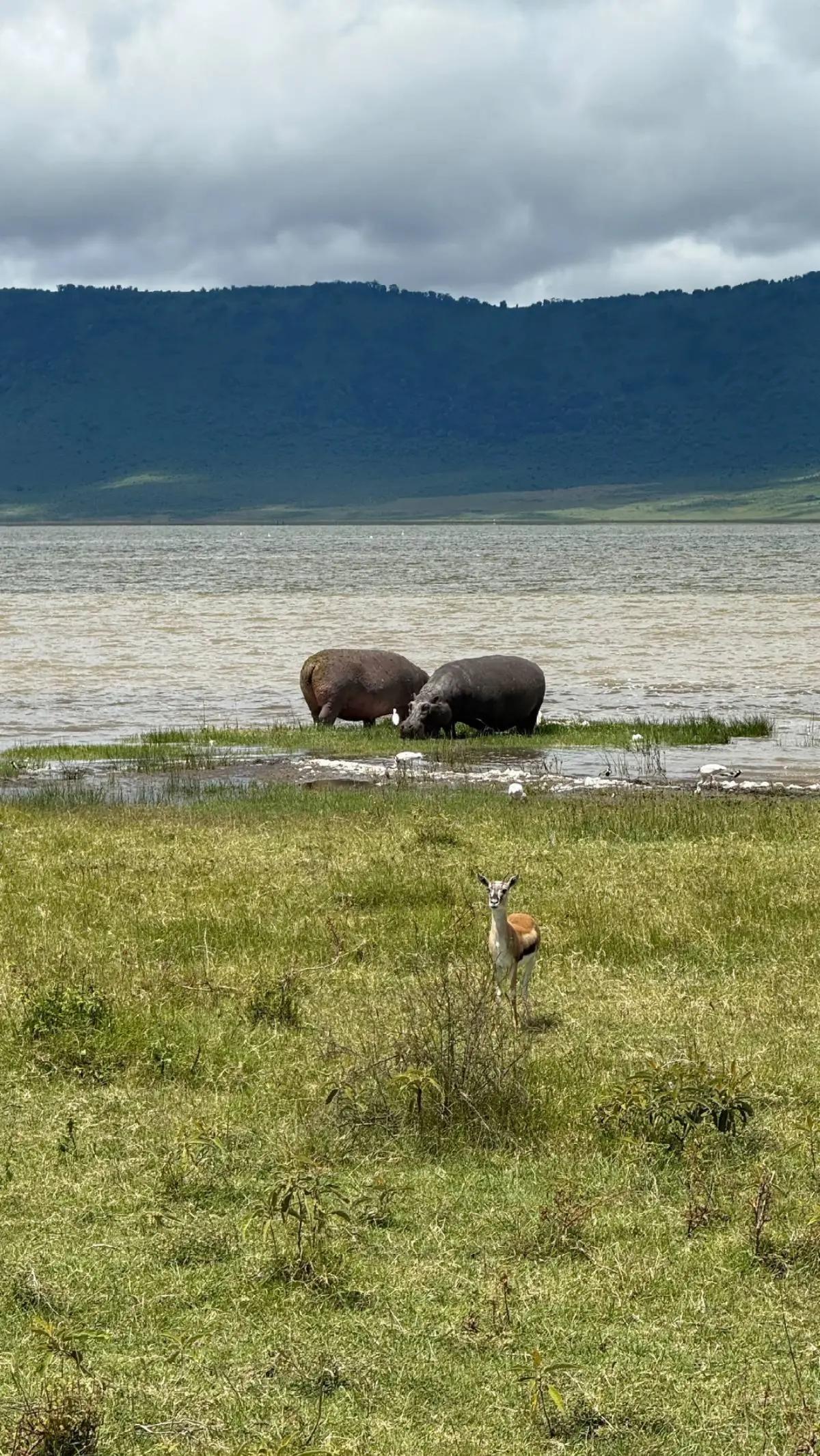Katavi National Park