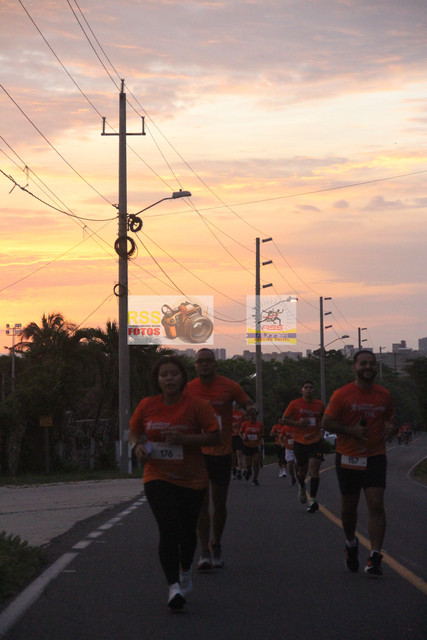 IMG-0264.jpg