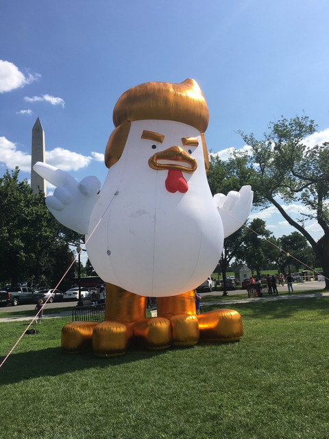 chicken-balloon.jpg