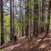 IMG 0654 (2)