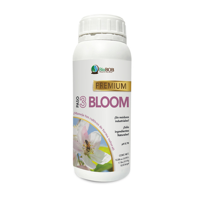 BLOOM.jpg