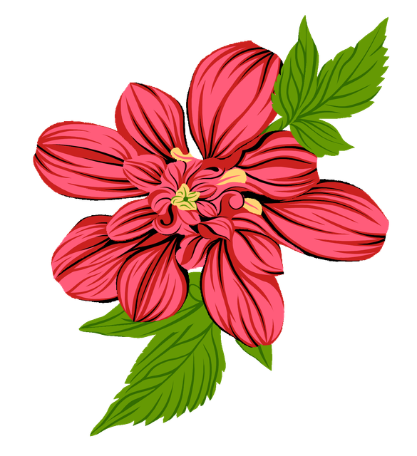 d6a19f5a03748f922ef8559d4021fb14.png