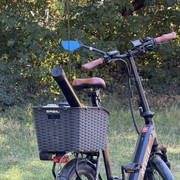IMG 3188
