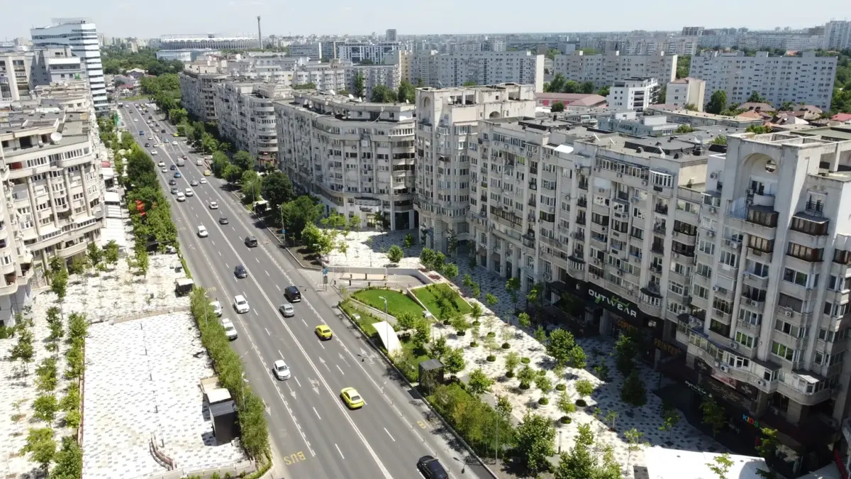Bucureștiul este invadat de fluturi. Experții explică fenomenul