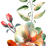 80b7a45a11d0cfd1d276c0f29cbd2409