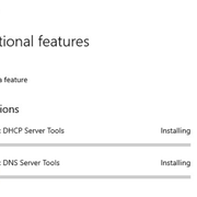 optional-feature