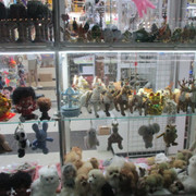 IMG-6640