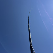 IMG-9544