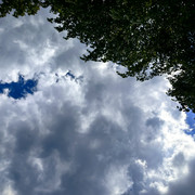 IMG 20260708 145343
