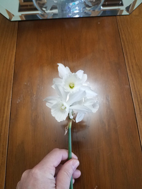 20200322 101838.jpg
