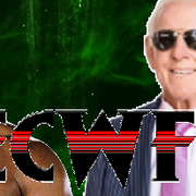 ecwfbanner5