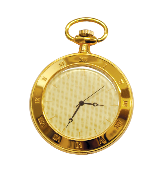 Dani³ clock