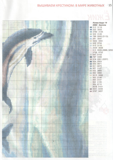 scan-15