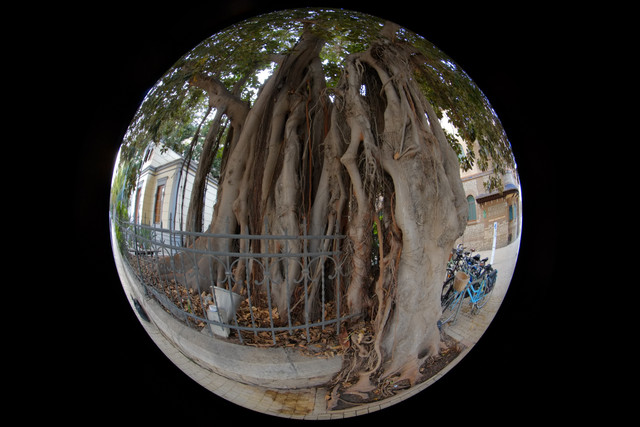 DSCF8981.jpg