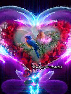 2.gif