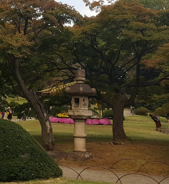 20181103-101026